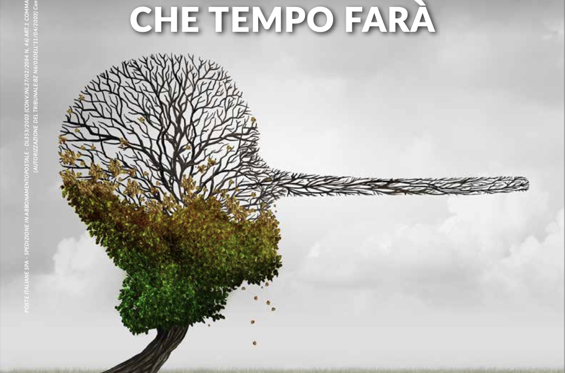 un albero con il naso lungo da Pinocchio